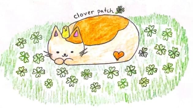 clover patch